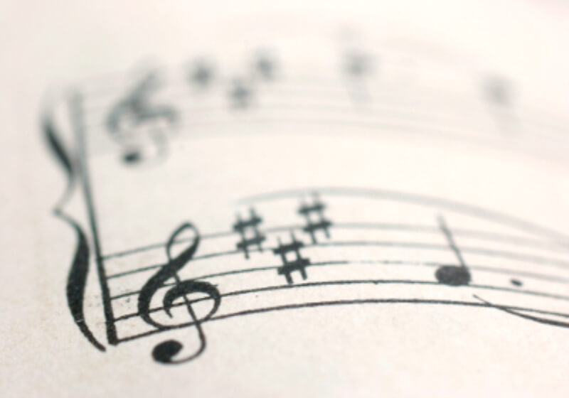 Blog Introduction: For the Elvis In You